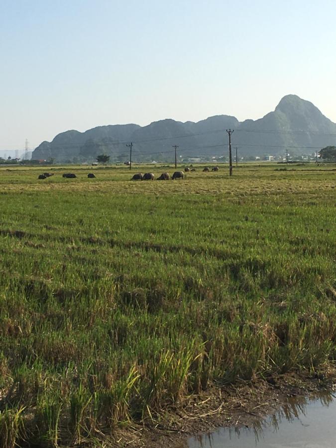 Limestone View Homestay Ninh Binh Esterno foto